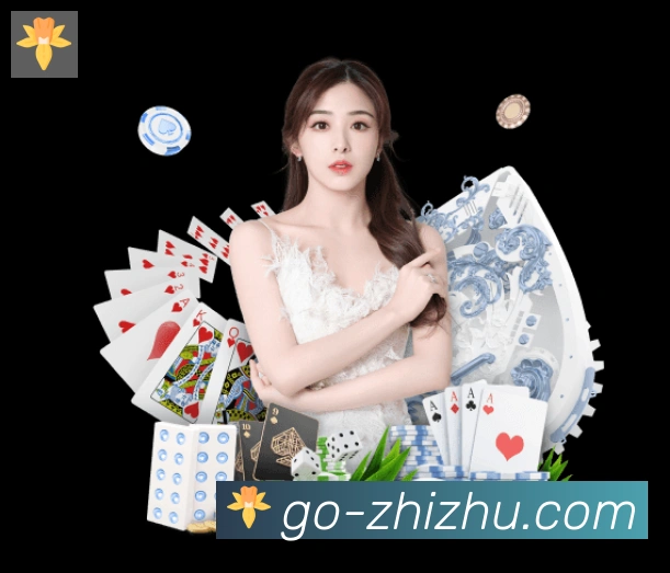 互动解说服务